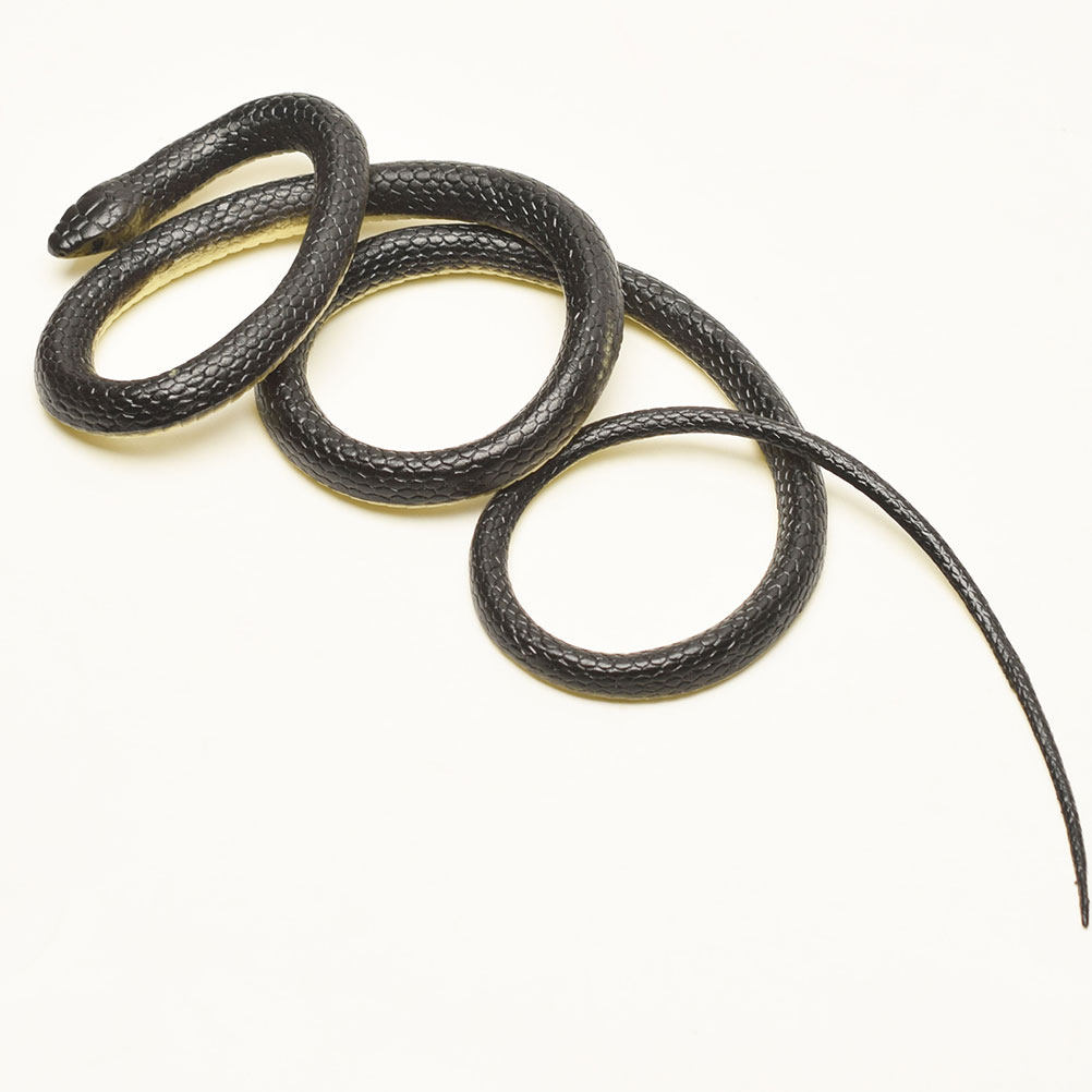 Realistic Green Snake Prop for - đánh giá và giá Prank Toys