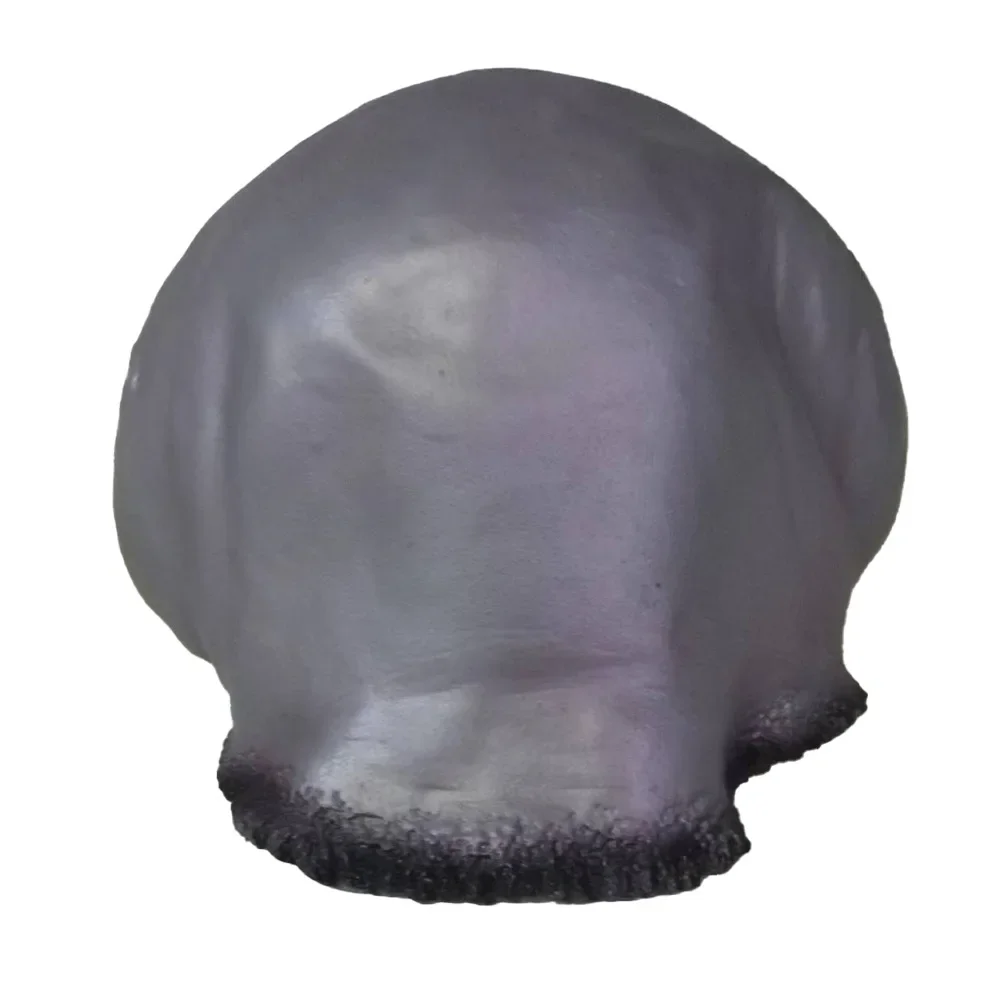 Alien Mask for Adults Realisti - đánh giá và giá Latex Alien Mask Realistic